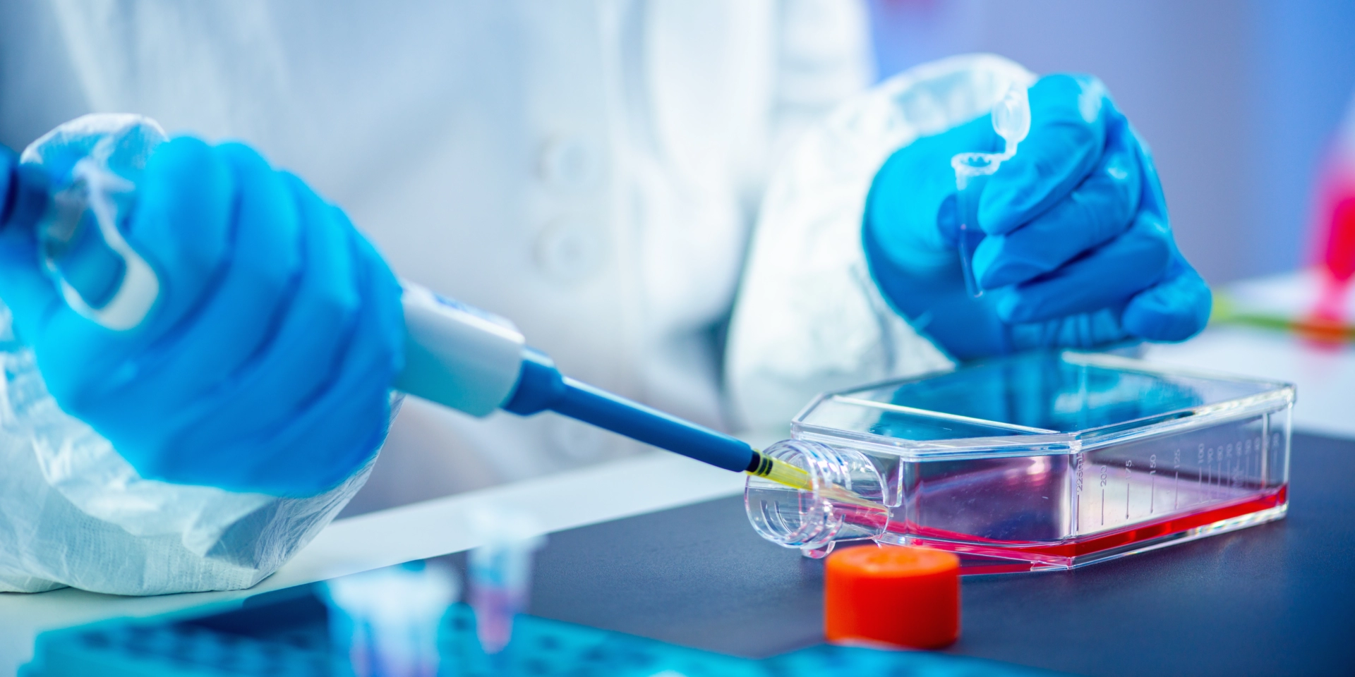 Preclinical Tumor Models: Human & Murine Cell Lines