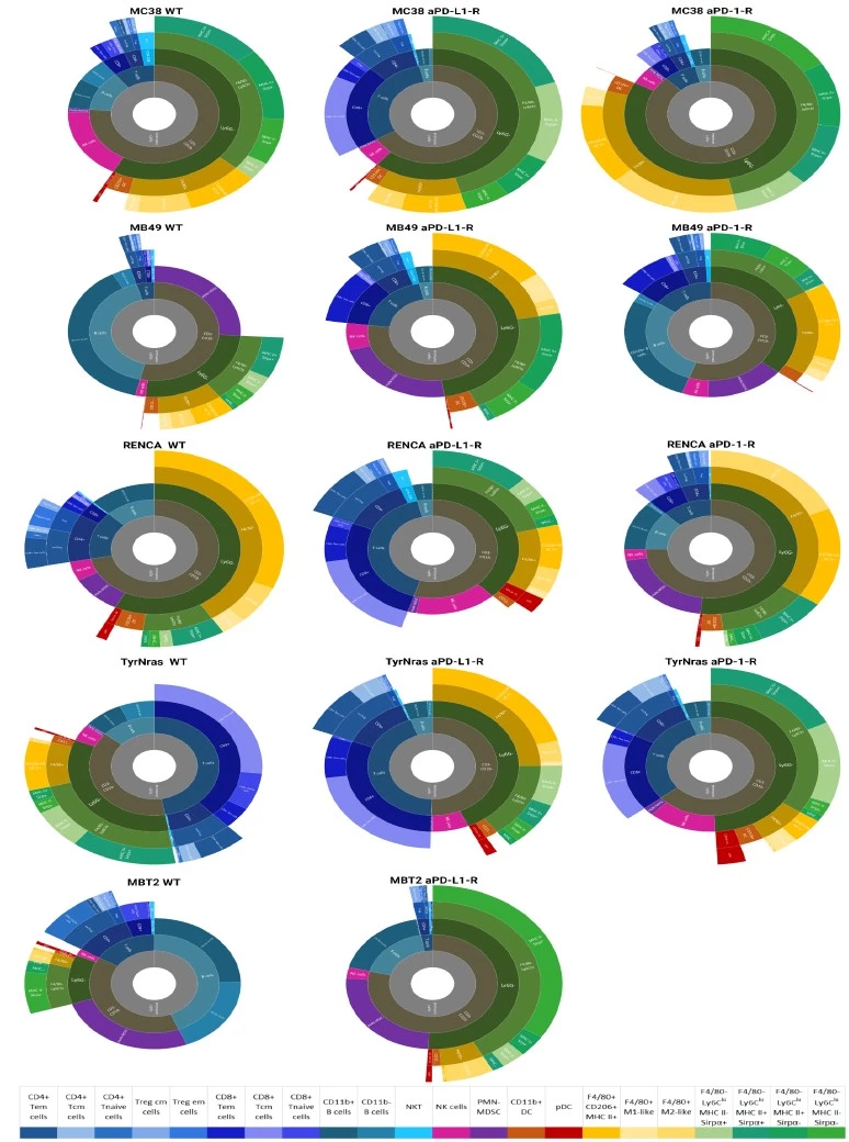 Antineo-PD1/PDL_1_resistance model-FACS