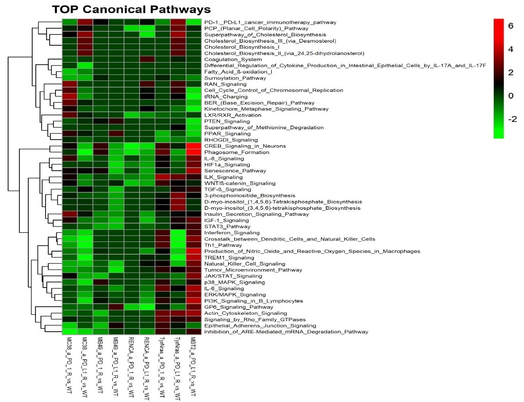 Antineo-PD1/PDL_1_resistance model-OMICs