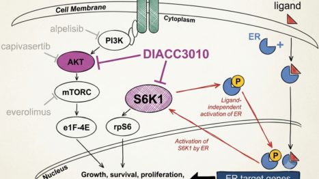 Signaling pathway