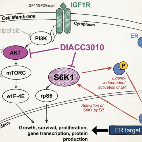 Signaling pathway