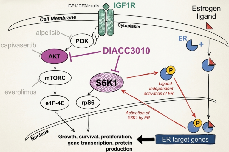 Signaling pathway