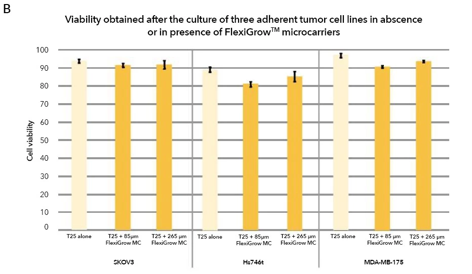 Antineo-in vitro cell culture-carroucell-results2