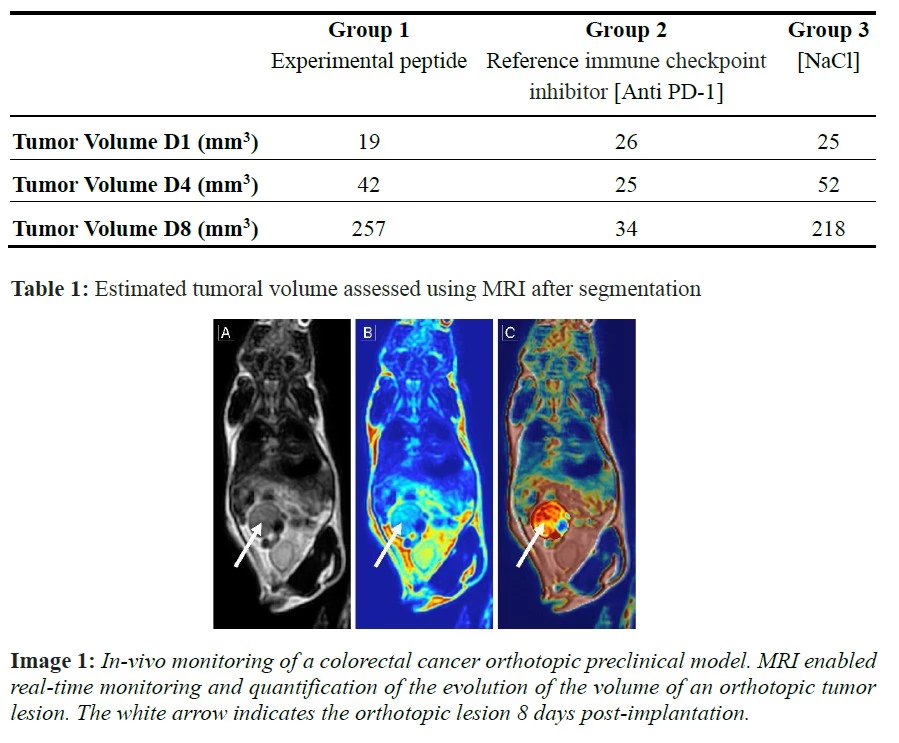 antineo colorectal cancer model mri image