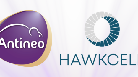 Hawkcell x Antineo