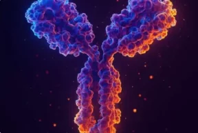 multicellular models