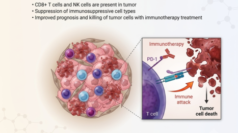 Antineo-hot tumor type