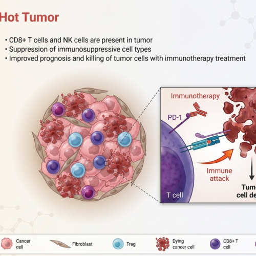Antineo-hot tumor type