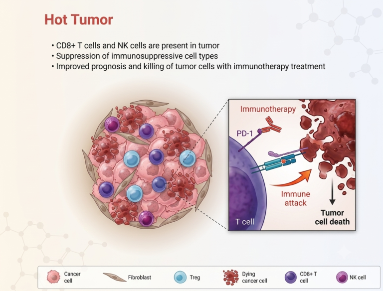 Antineo-hot tumor type