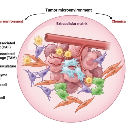 Antineo-tumor microenvironment components